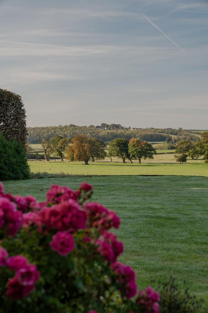 314150 - A741278.jpg