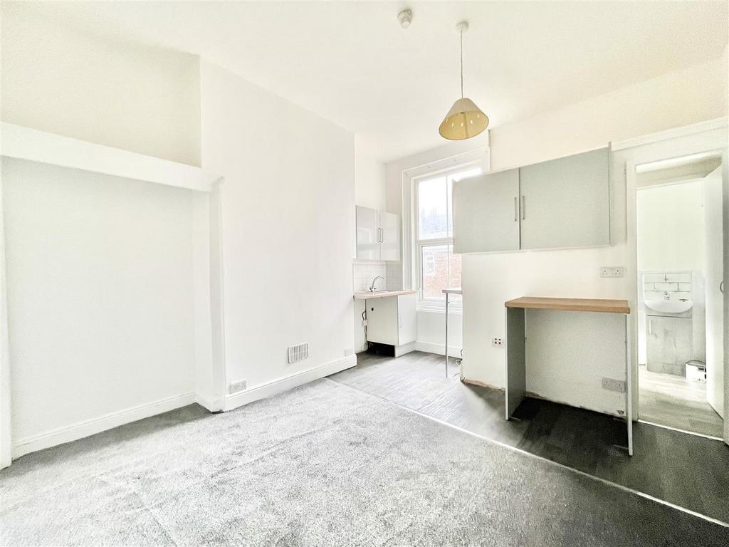 Combined Living Room/Kitchen/Bedroom