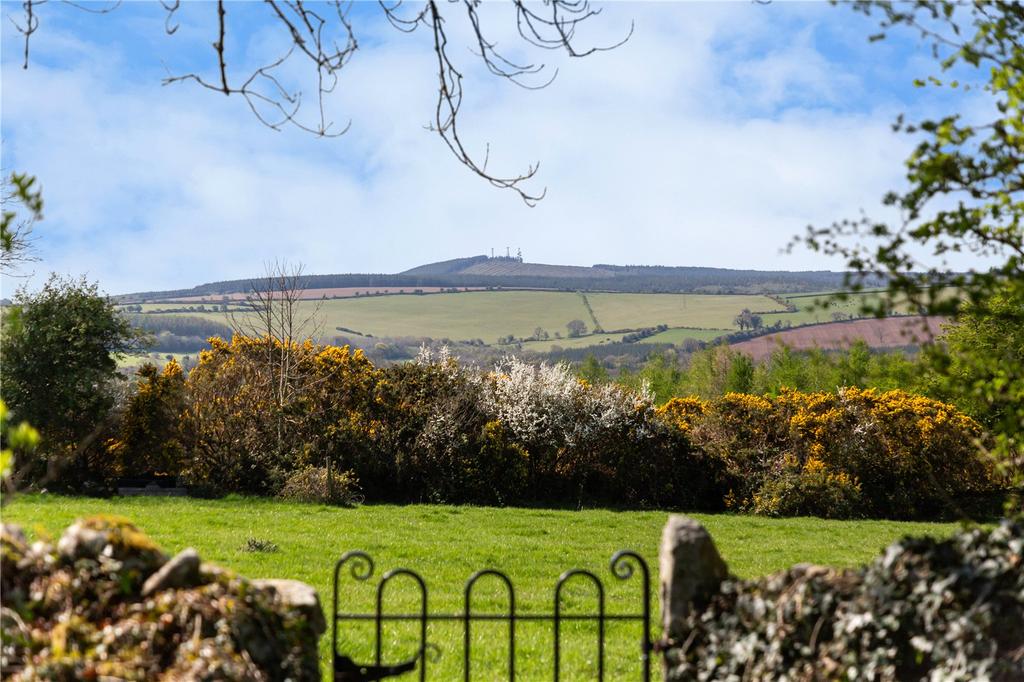 Mount Coggill