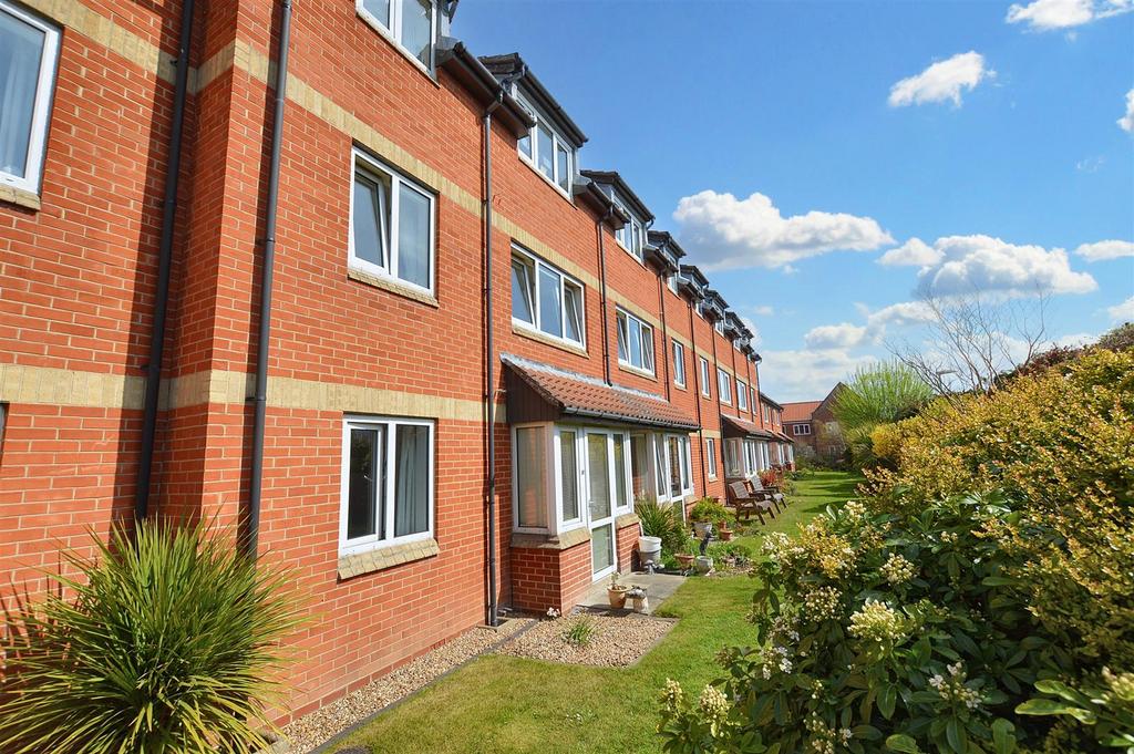 DSC 0001.jpg
