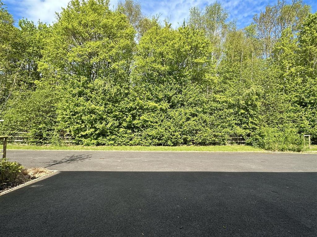View from front door
