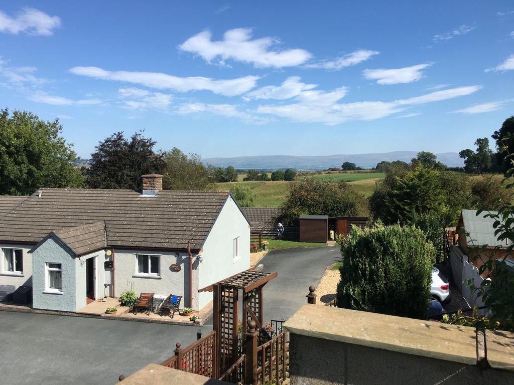 View to the Front