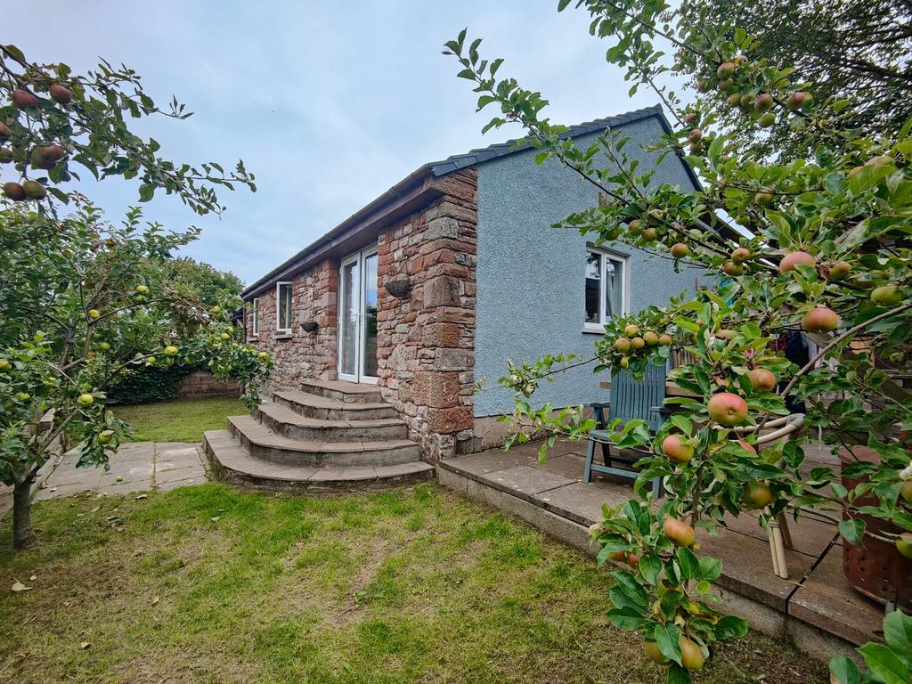 Rear external
