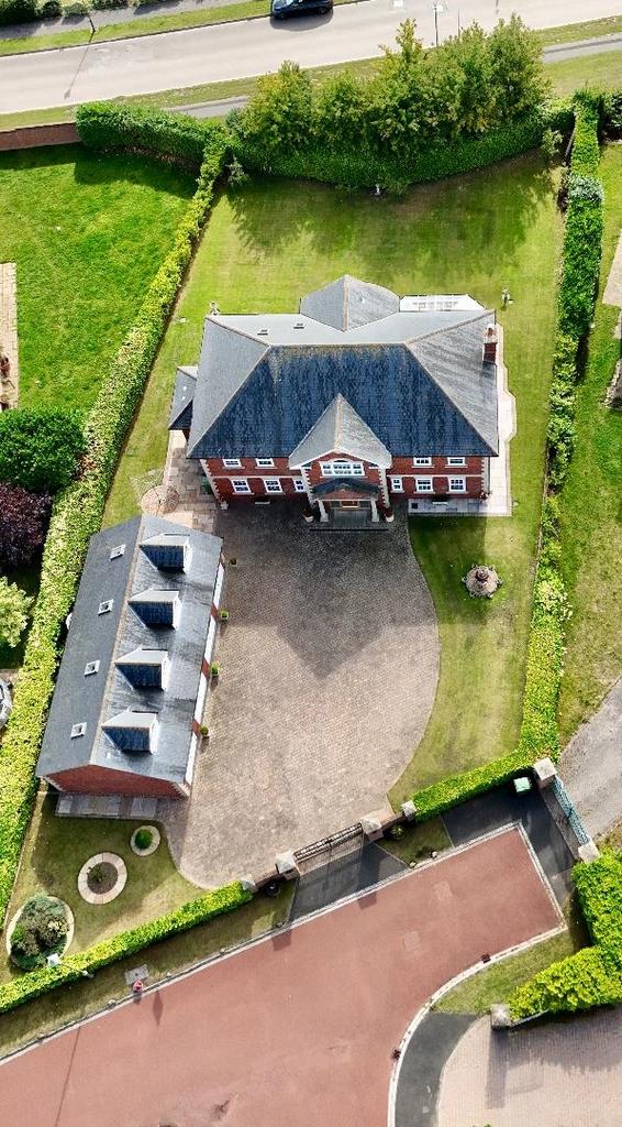 Birds Eye Plot
