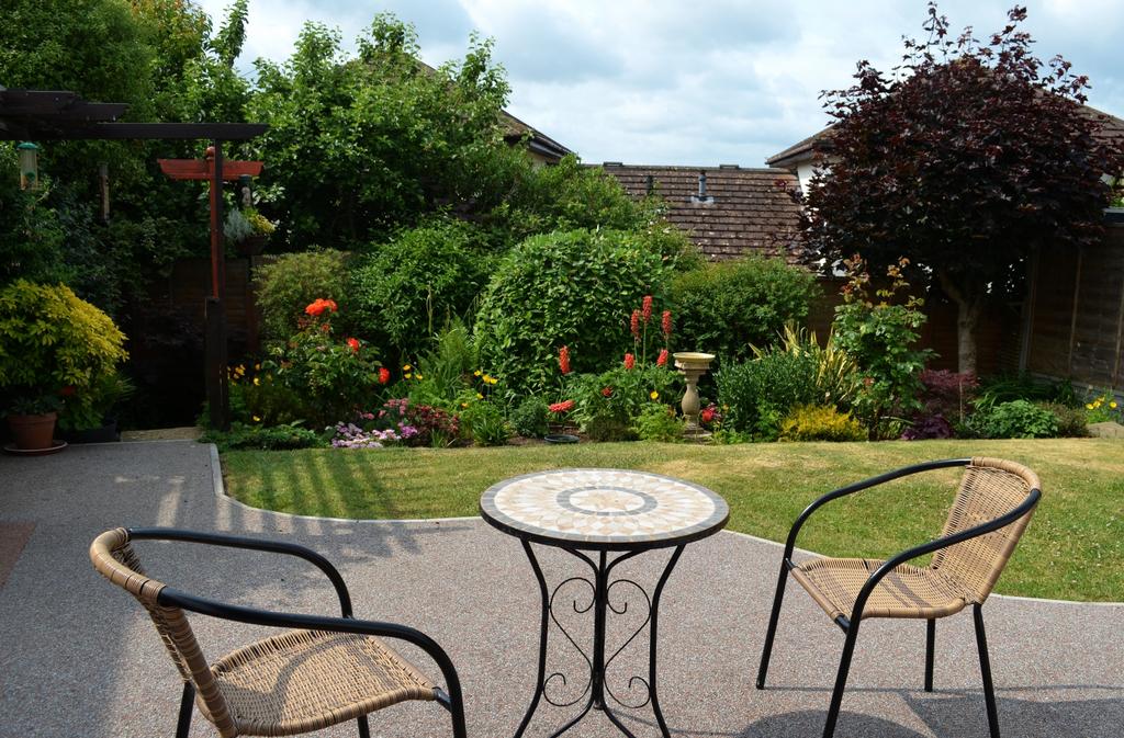 19 Currington Meadow rear garden June 25