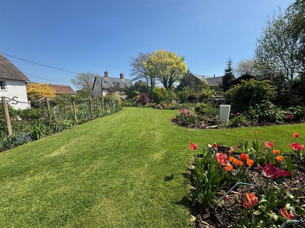 Back Garden