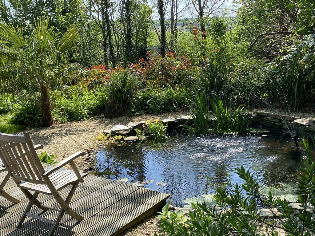 Pond