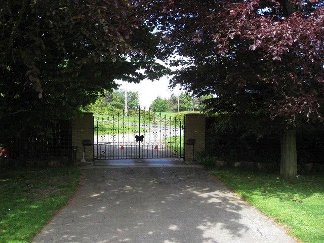 Picture 26