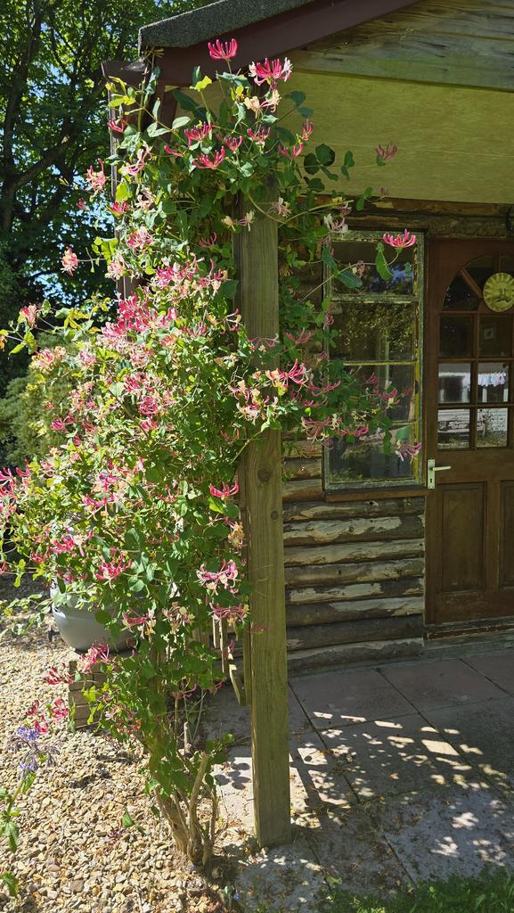 Log Cabin