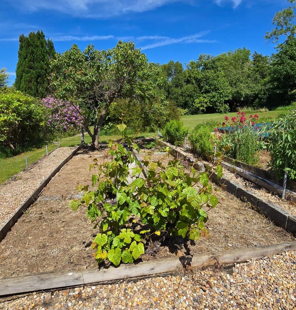 Greenhouse