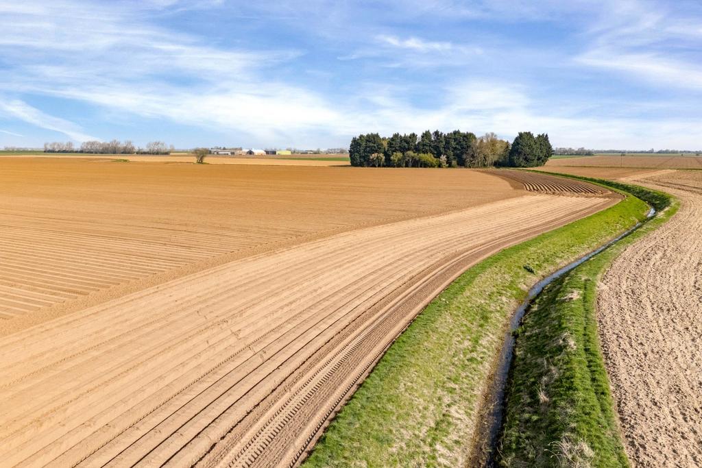 Land