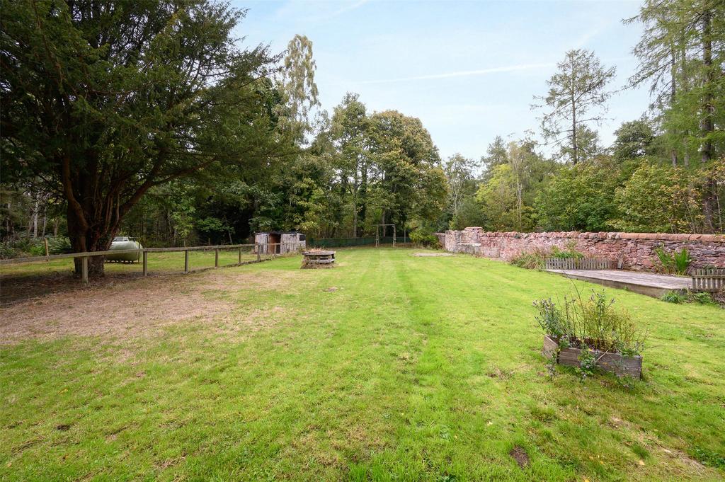 Lawn