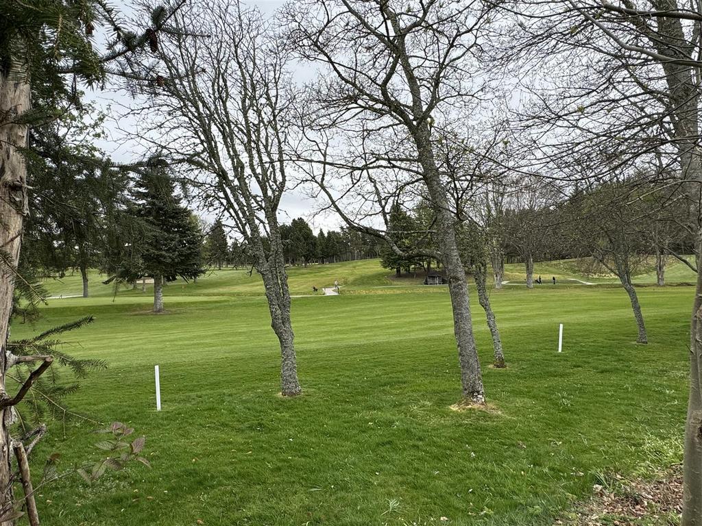 Golf course.jpg