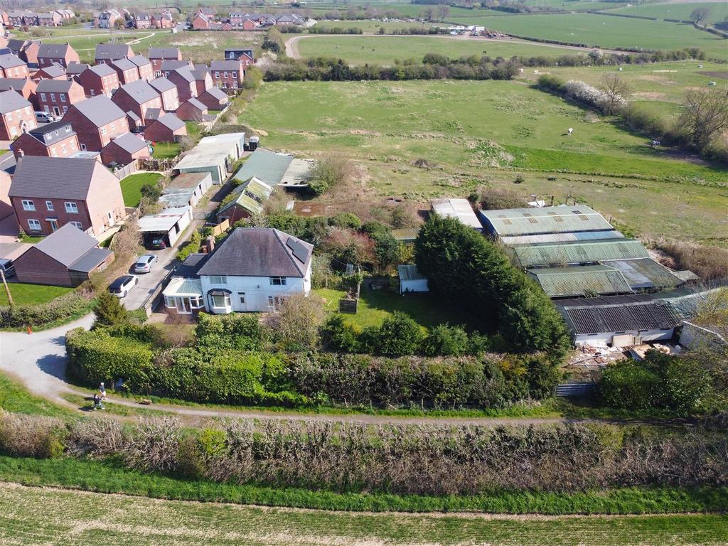DJI 0706.jpg