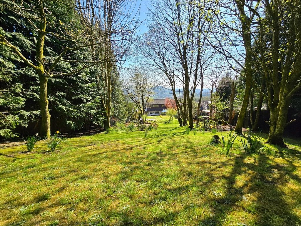 Lovely Garden
