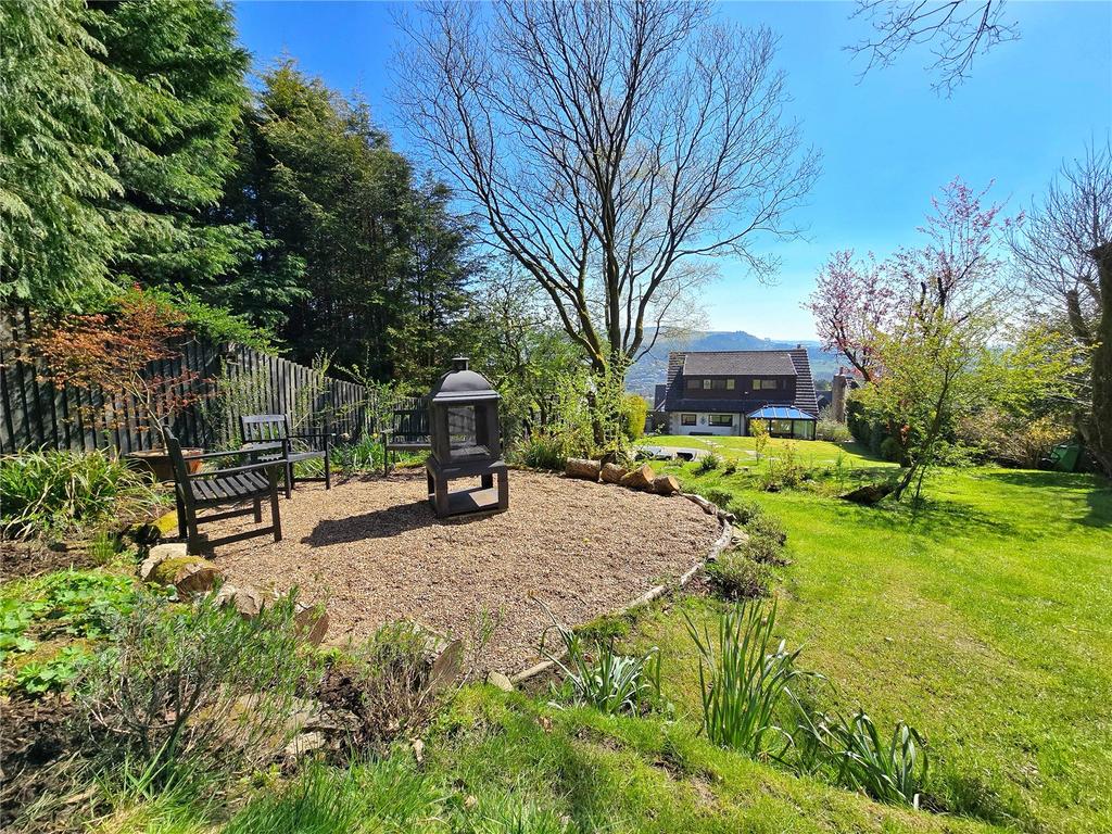 Firepit Area