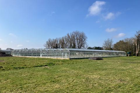 Farm land to rent, Eastergate Lane, Walberton, Arundel, West Sussex