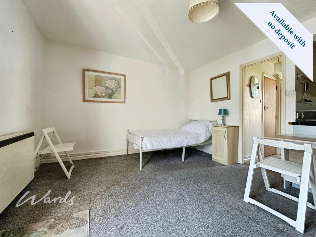 Living/Bedroom Area