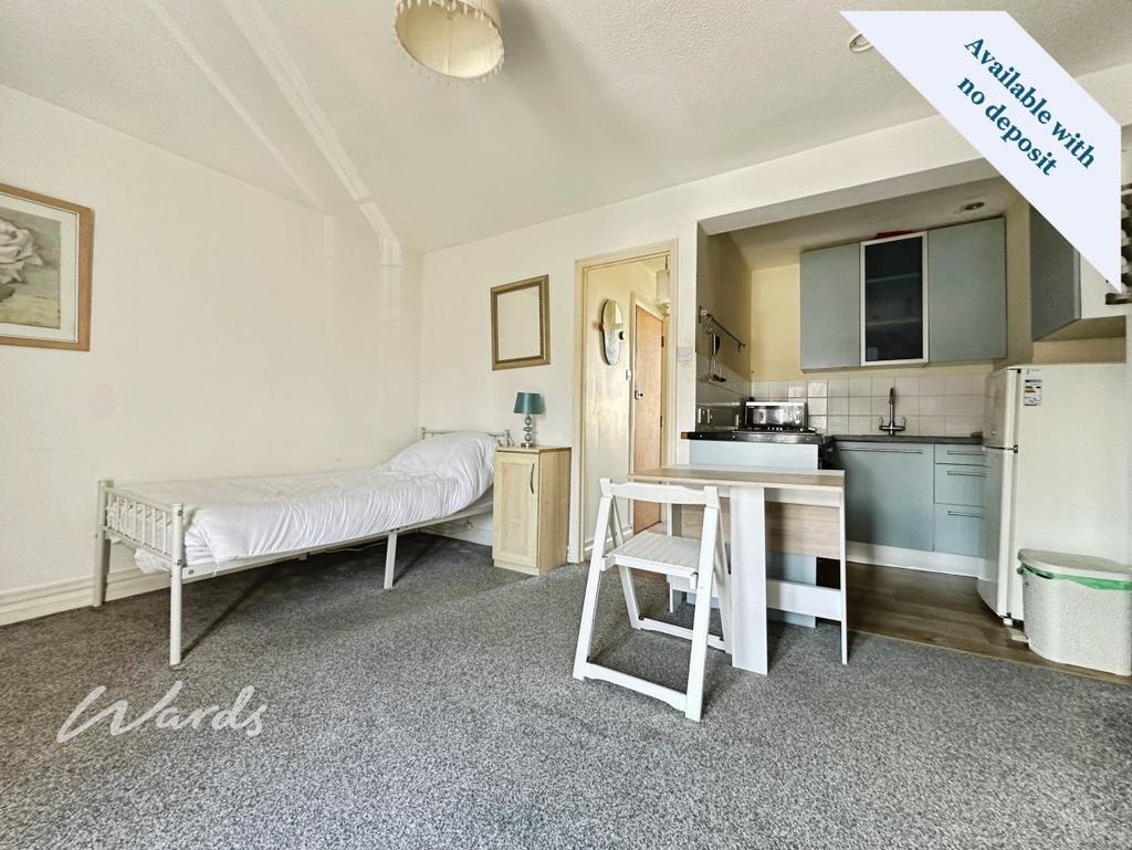 Living/Bedroom Area