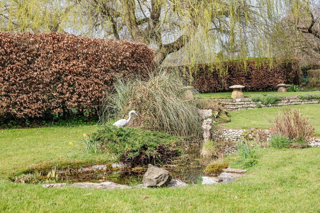 Pond