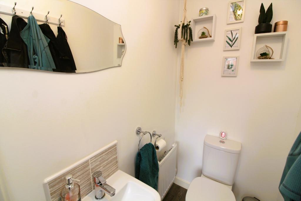 Img 9972