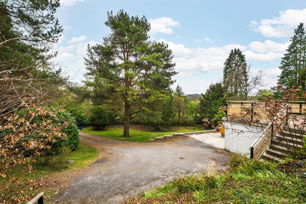 Driveway & Garden