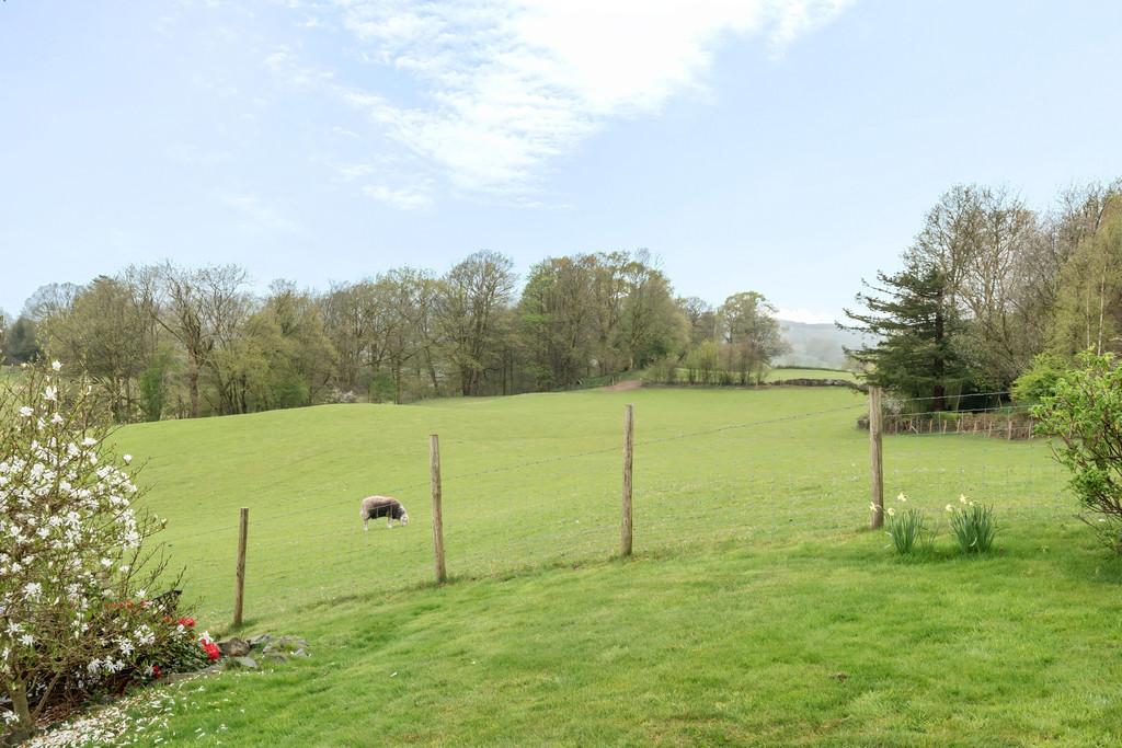 Garden and Countryside Views