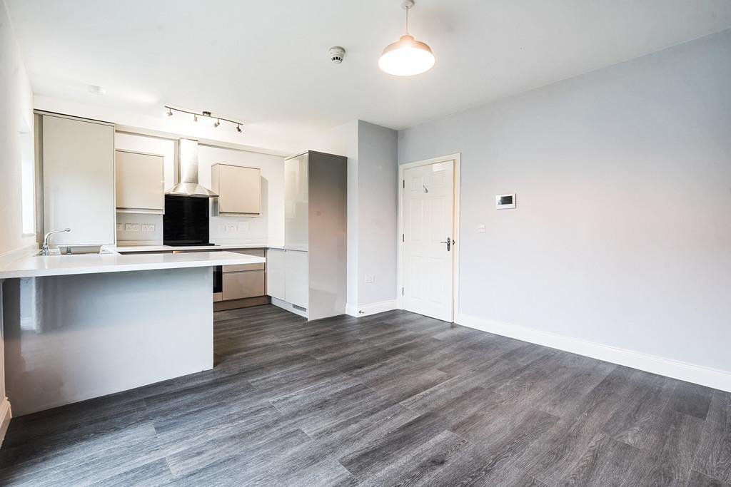 Open plan living room/kitchen
