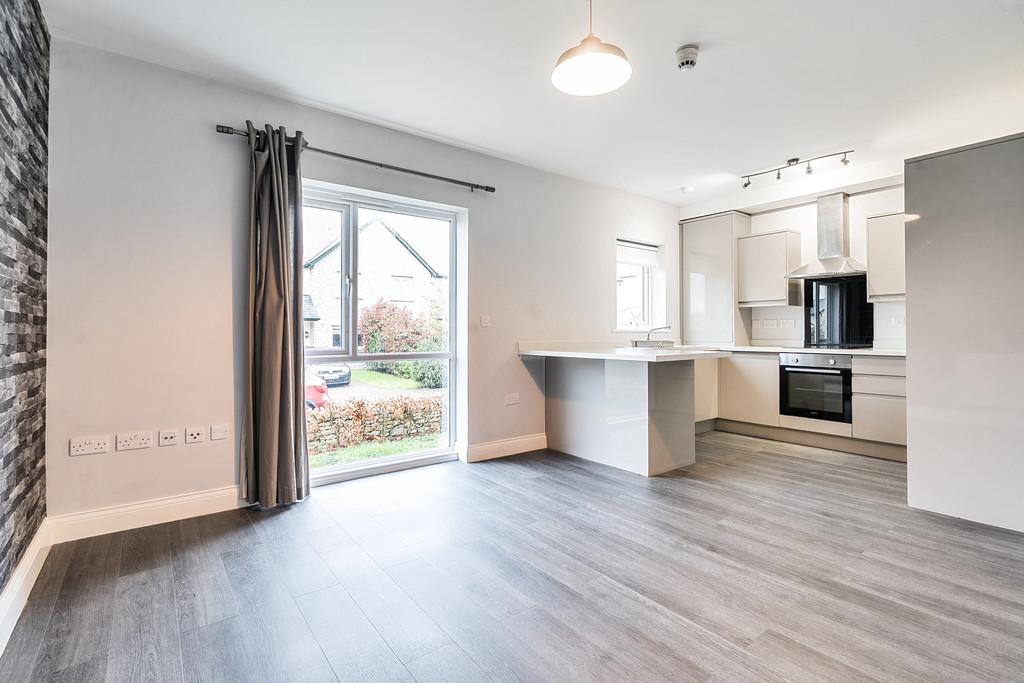 Open plan living room/kitchen