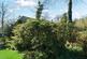 Additional image 25 of 114 Elleray Gardens, Windermere, Cumbria, LA23 1JE