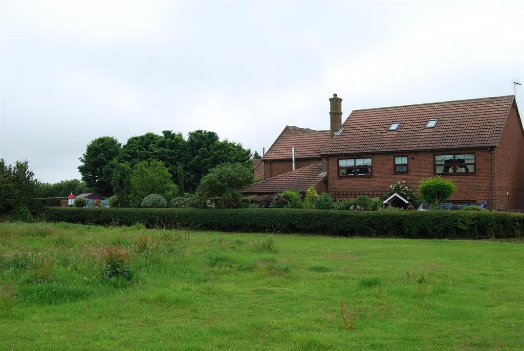 Garden: