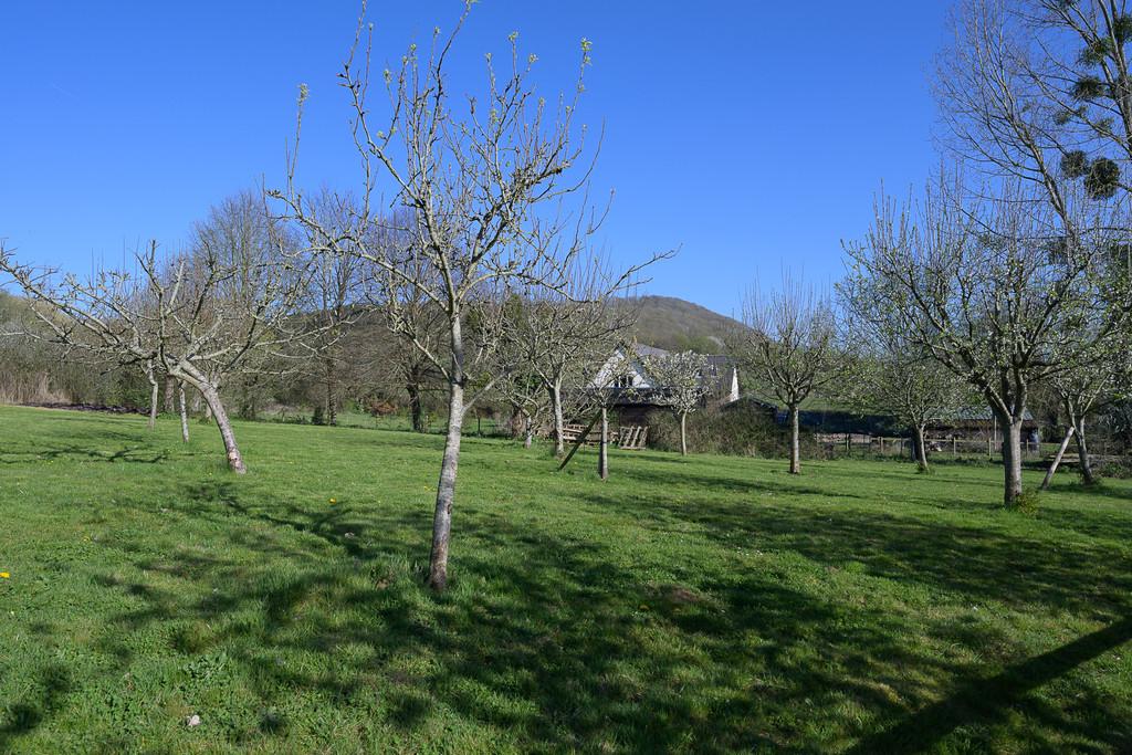 Nightingale Cottage-25