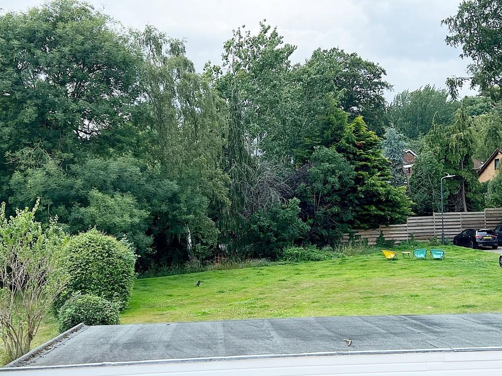 Rear Garden view