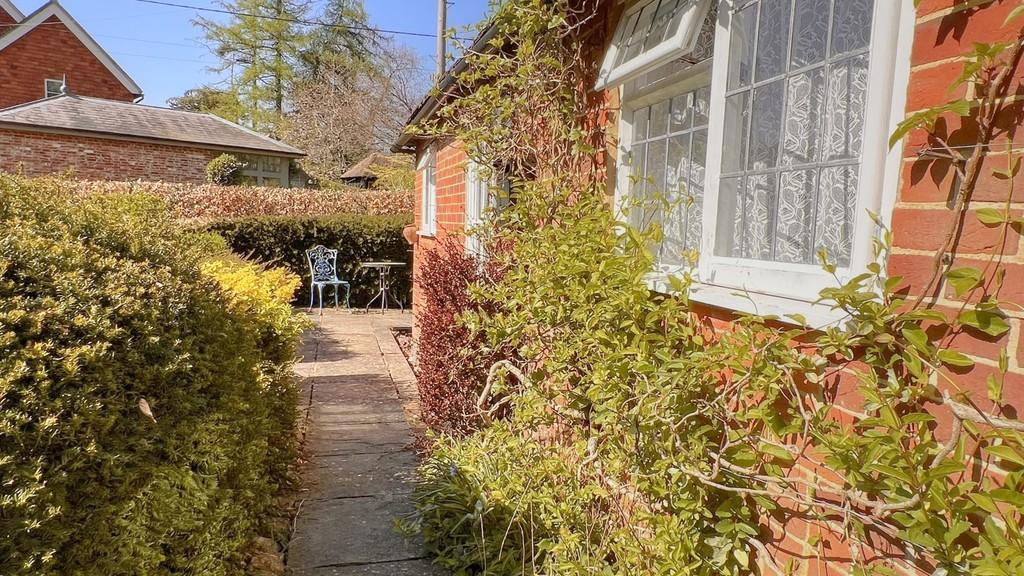 IMG 2859 Soft 2