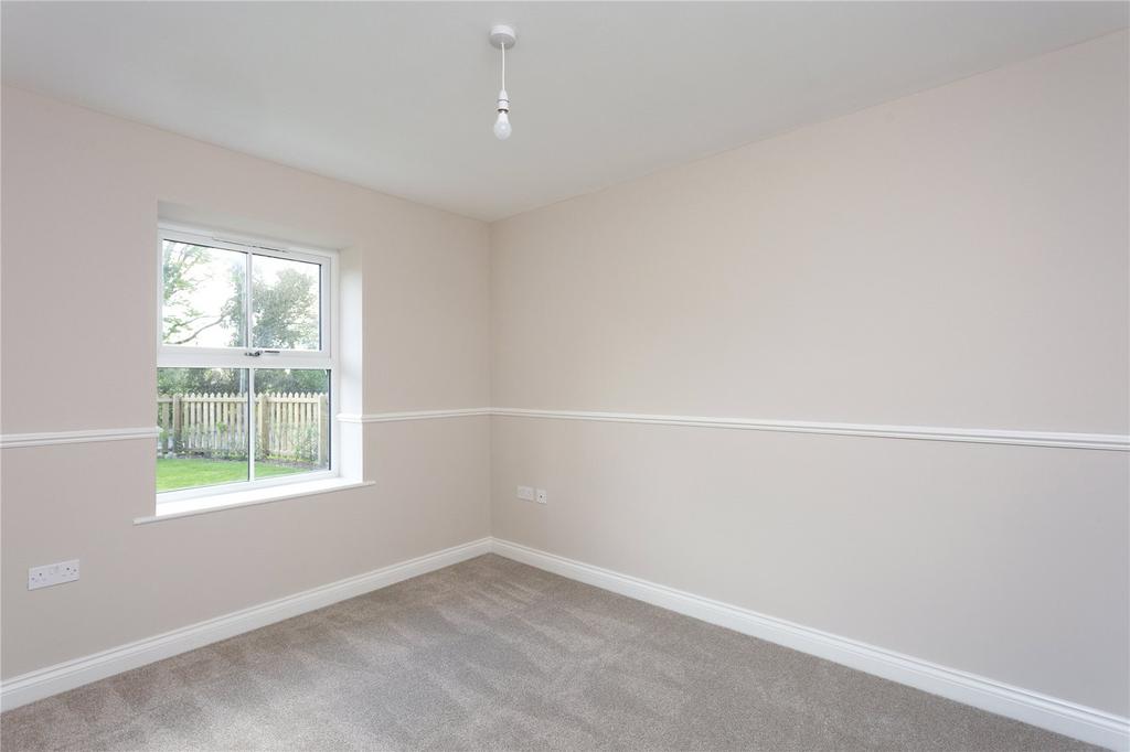 Photos