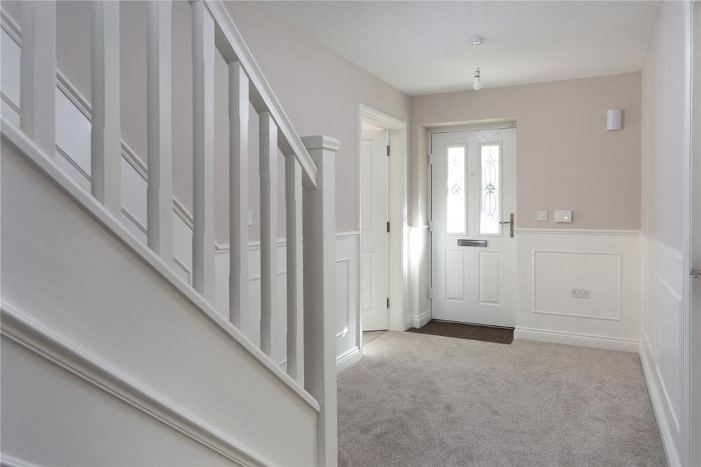 Photos