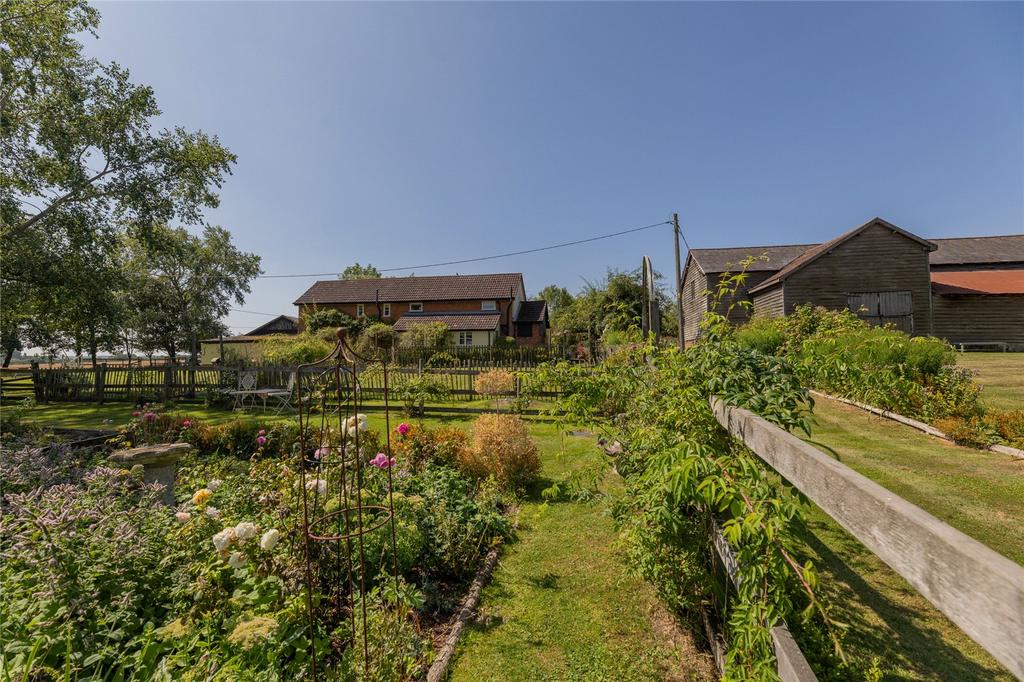 Rear Of Cottages