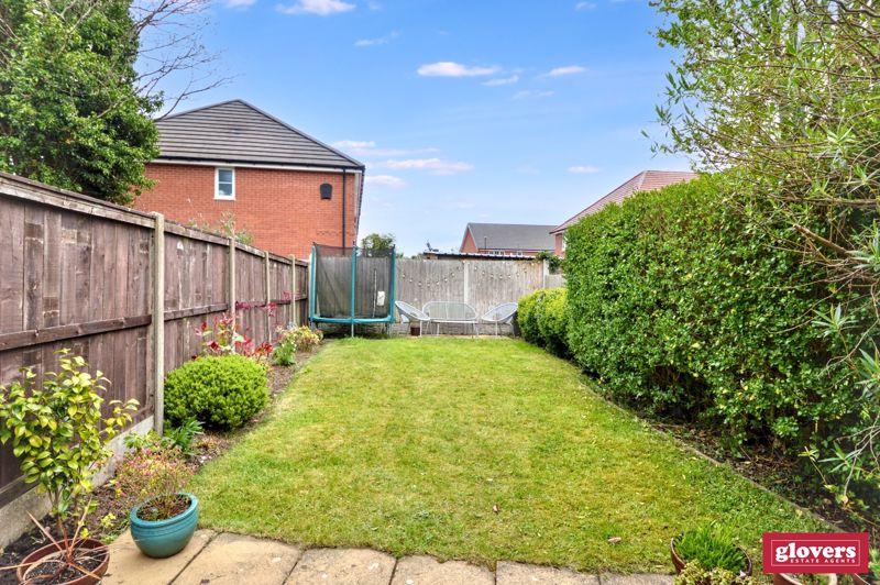Back garden