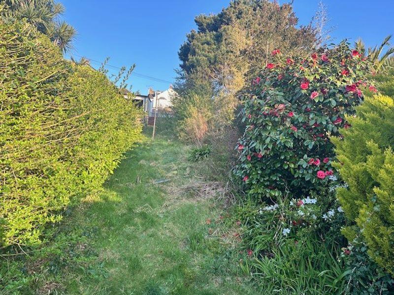Rear Garden looking