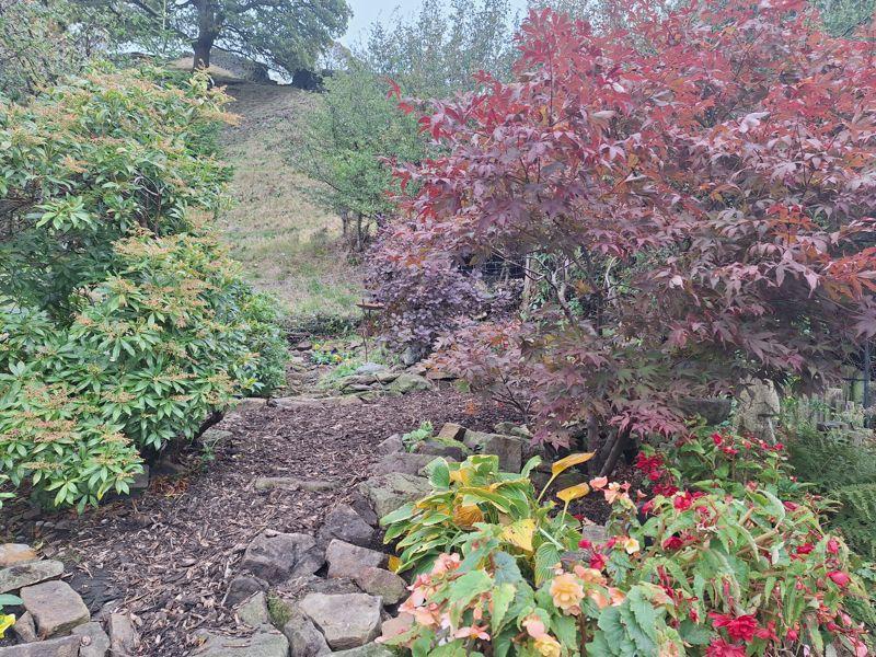 Rear garden &...