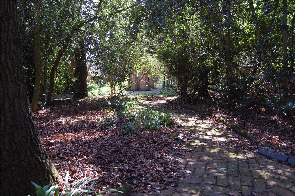 Woodland