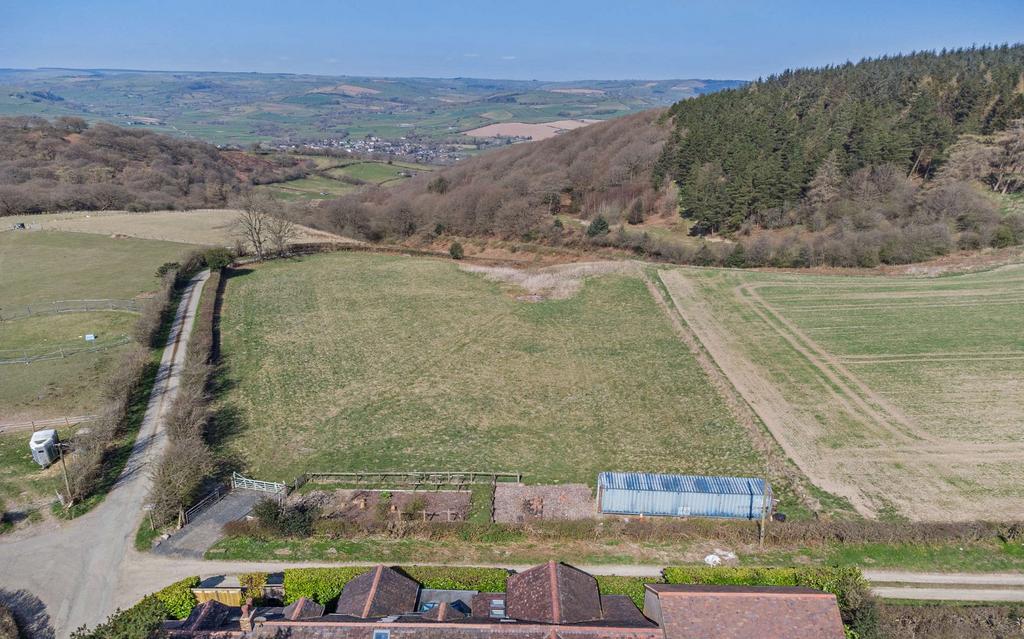 Paddock Land
