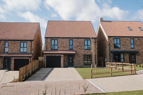 undefined, The Pines, Hamsterley Pastures, Hamsterley, Bishop Auckland, DL13