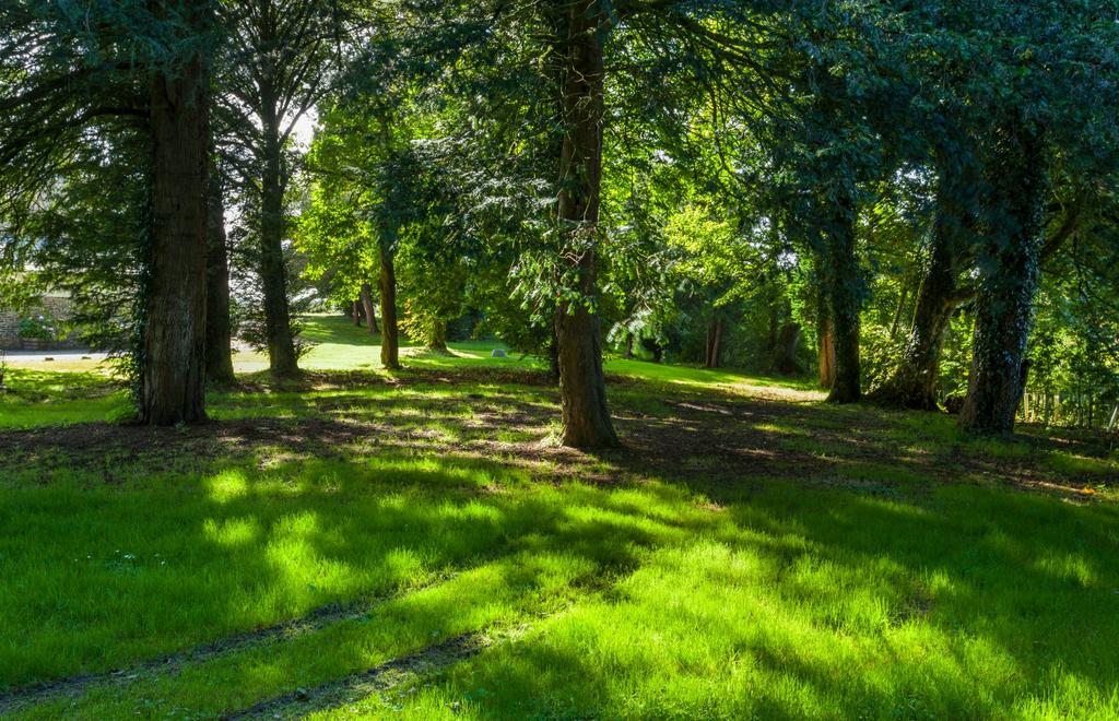 Grounds