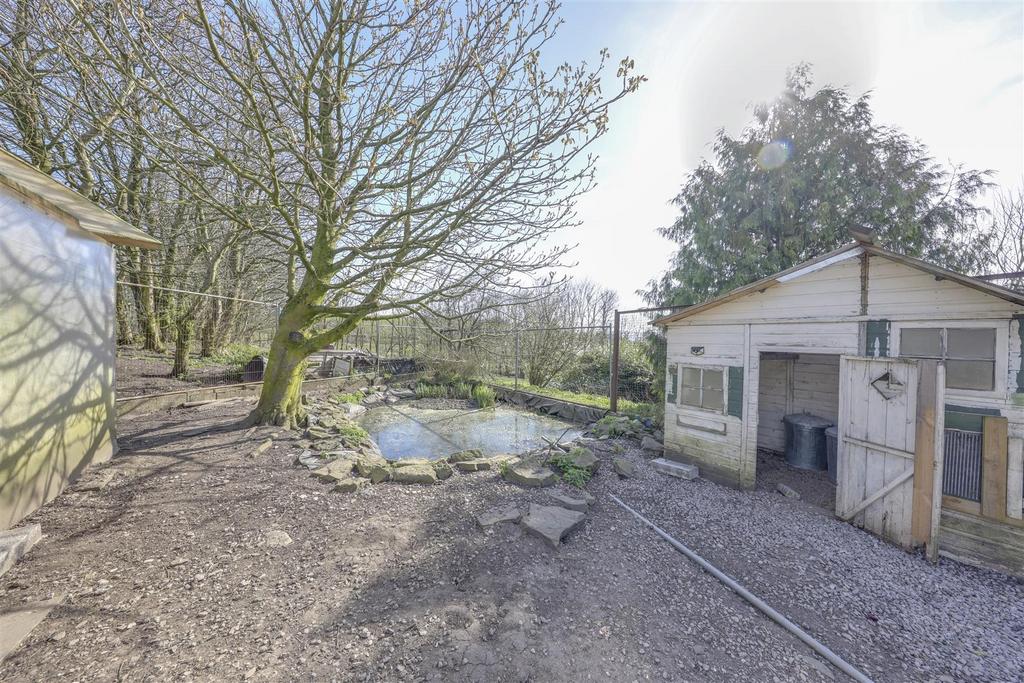 Chicken Coop &amp; Pond