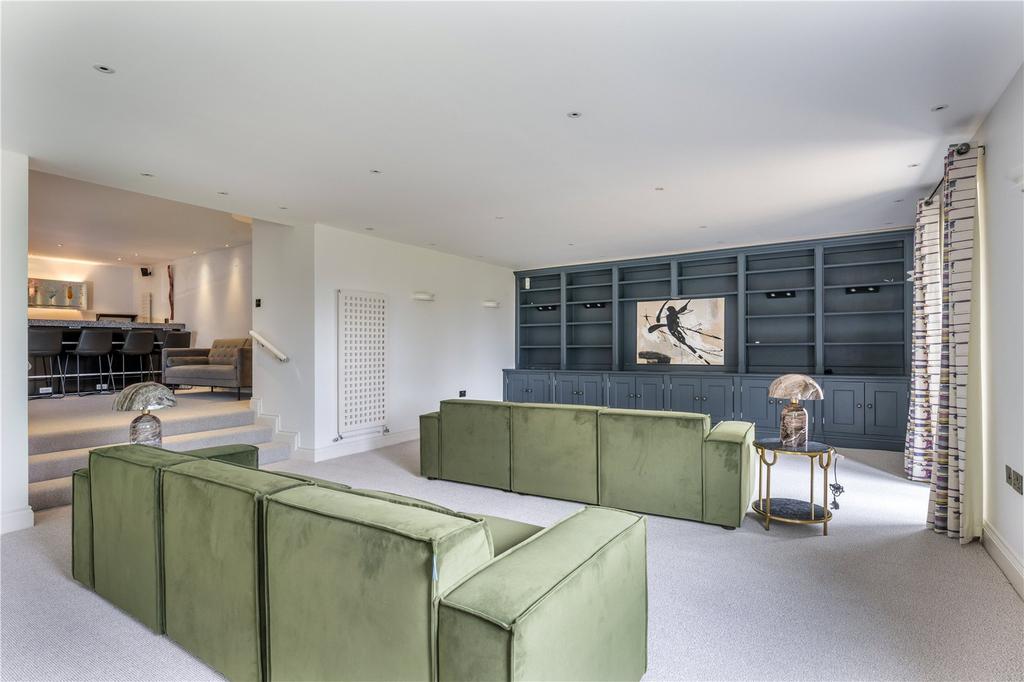 Entertainment Room