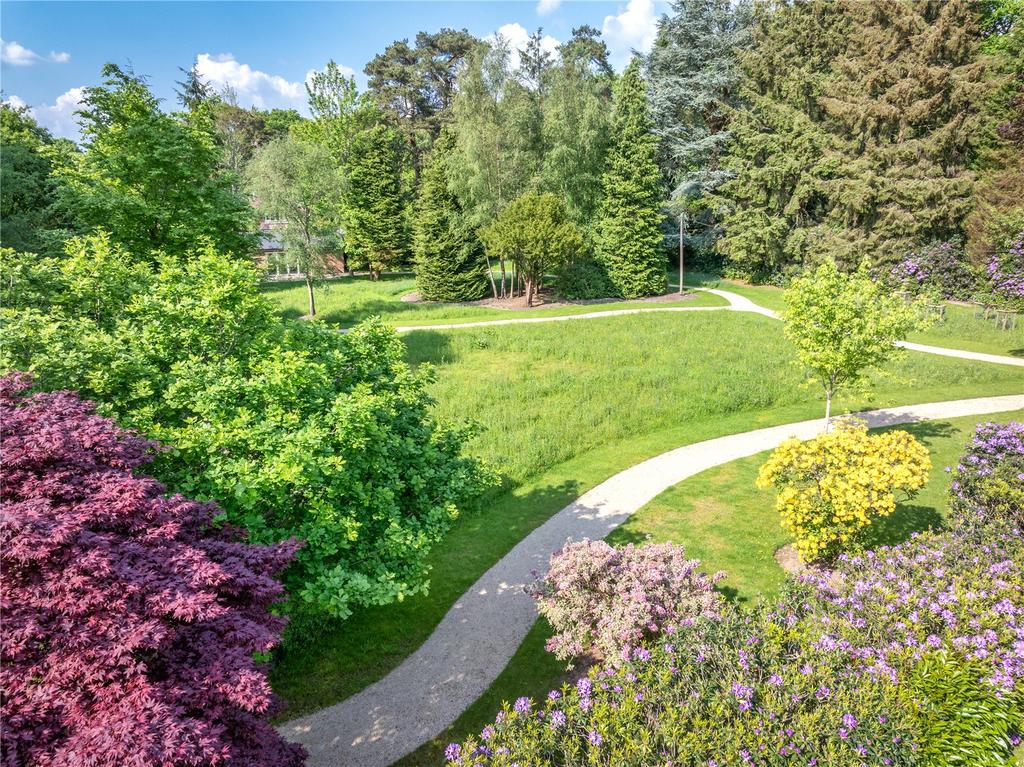 Grounds