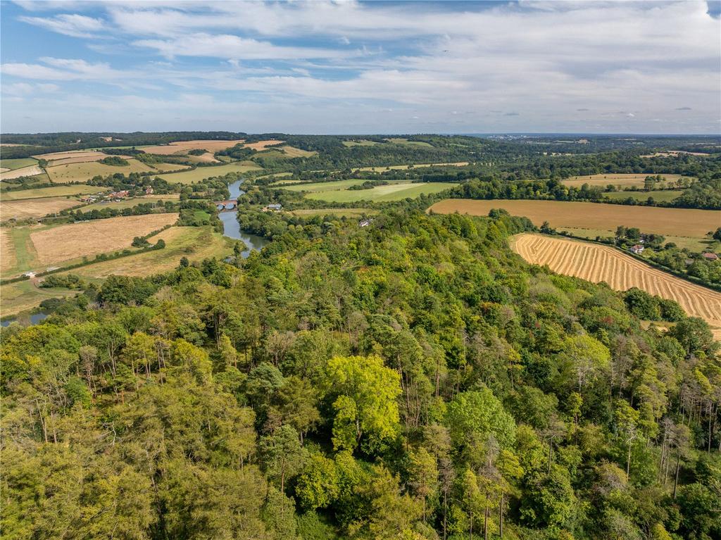 Lot 2 - Woodland