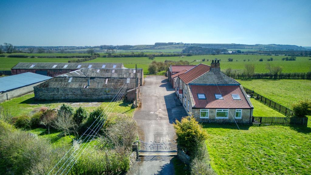 Driveway and Farm