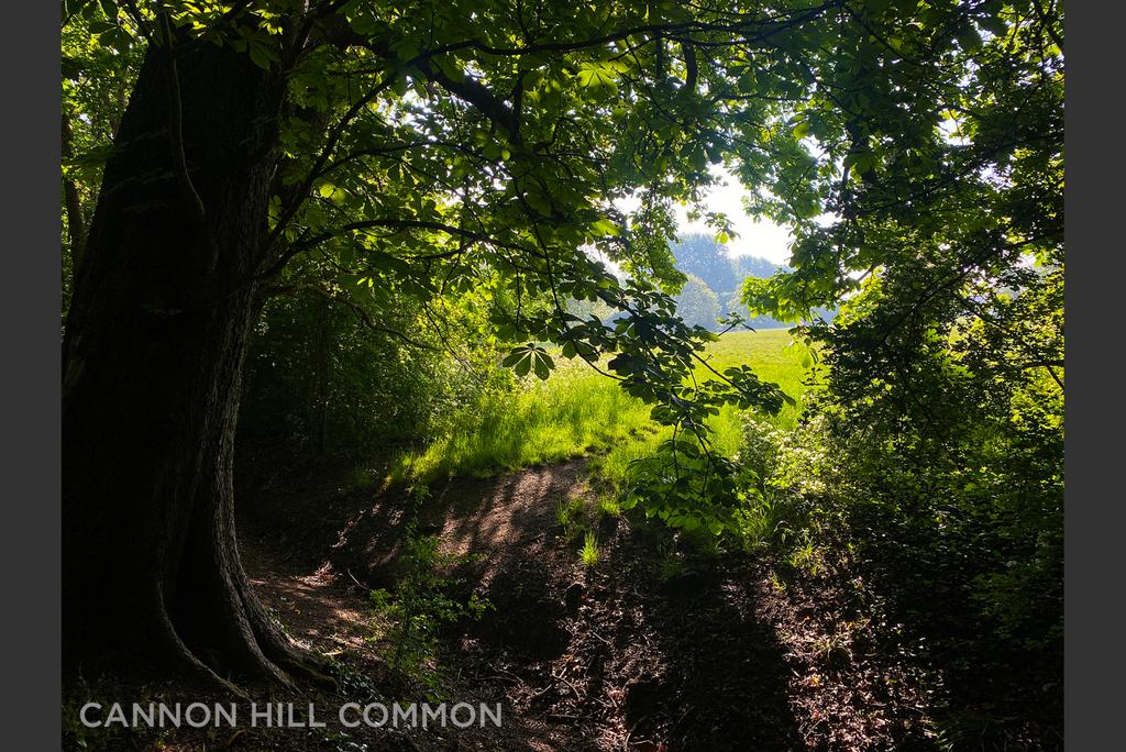 Picture No. 35